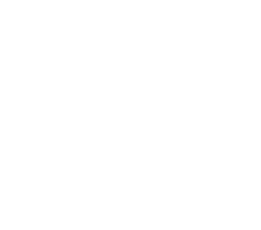 Loes Selten logo